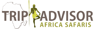 Trip Advisor Africa Safaris