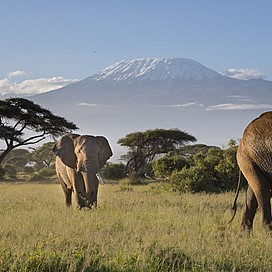 Weekend Get away to Amboseli